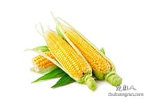 建网站如何选择域名,如何进行域名价值评估?-楚狂人