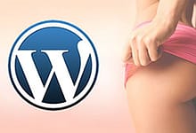 使用Loco Translate插件翻译WordPress英文主题和插件-楚狂人