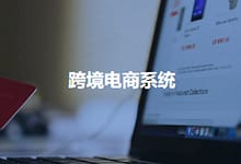 100%开源商城系统可搭建跨境电商独立站的商城源码-楚狂人