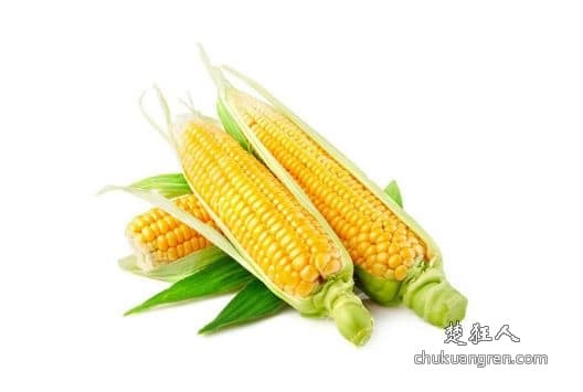 建网站如何选择域名，如何进行域名价值评估？